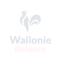 Wallonie Relance